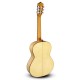 Guitarra Paco Castillo 213F