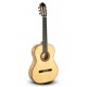 Guitarra Paco Castillo 213F