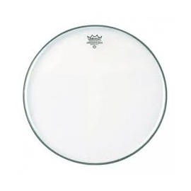 Parche Remo Ambassador Bordonero 12"