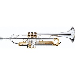 Trompeta Bach NEW YORK LT180ML 77