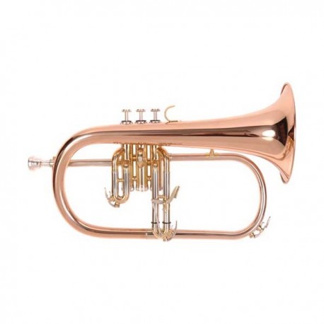 Fliscorno Odyssey SIB