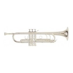 Trompeta  Roy Benson TR-402S Plateada