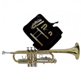 Trompeta DO J.Michael TRC440V
