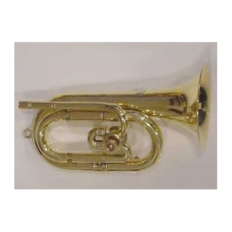 Corneta Honsuy Do/Reb Pulida Bomba Ajustable