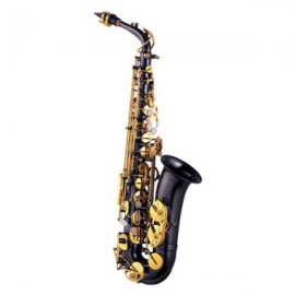 Saxofón J.Michael 800B