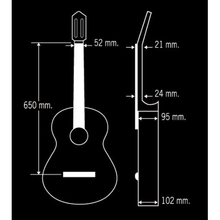 Guitarra Paco Castillo 203
