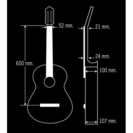 Guitarra Paco Castillo 240 Guitarra Paco Castillo 240