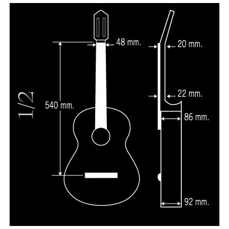 Guitarra Paco Castillo 201 Mate