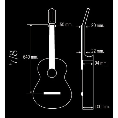 Guitarra Paco Castillo 201 Mate