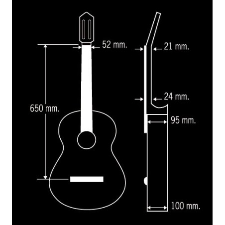 Guitarra Paco Castillo 213F