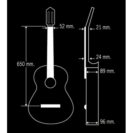 Guitarra Paco Castillo 213F