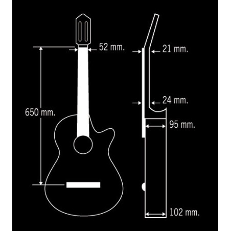 Guitarra Paco Castillo 222CE