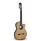 Guitarra Paco Castillo 234TE