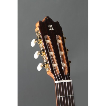 Guitarra Alhambra Iberia Ziricote