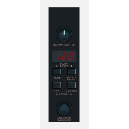 Piano digital Ringway RP220 Piano digital Ringway RP220