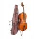 Cello Stentor Student II SH