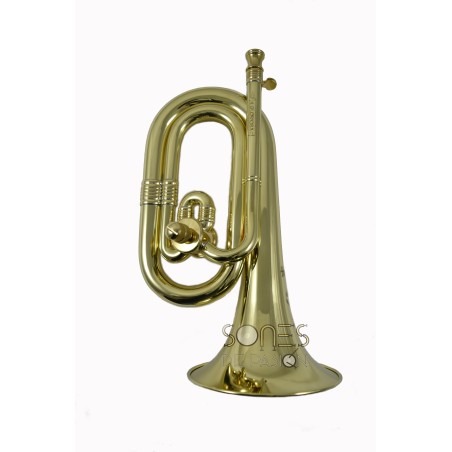 Corneta Honsuy Do/Reb La Gloriosa Pulida