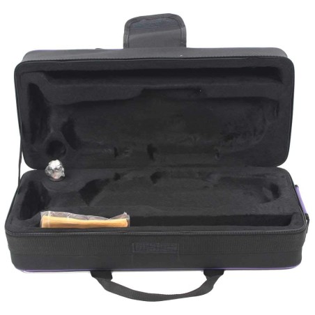 Trompeta SML PARIS TP500 Sib