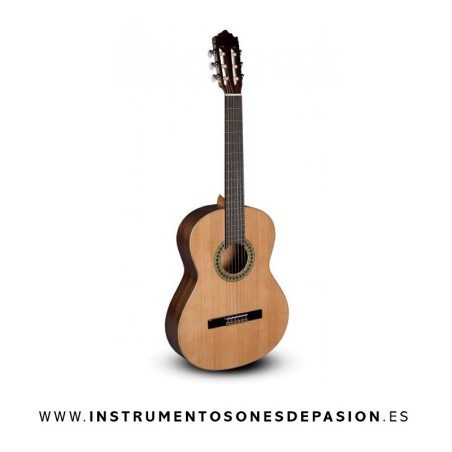 Guitarra Paco Castillo 201 Mate Guitarra Paco Castillo 201 Mate