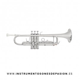 Trompeta SIB Bach TR650S