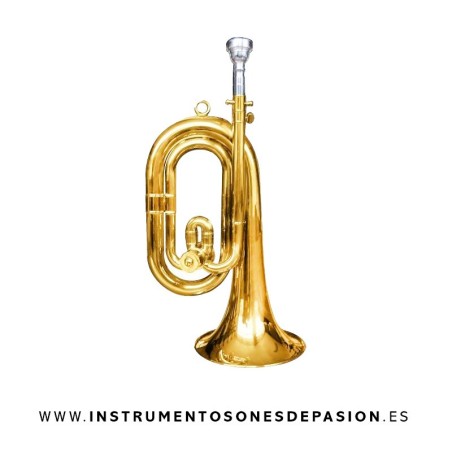 Corneta Academy J.Michael Do/Reb