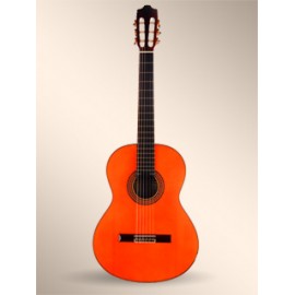 Guitarra Alhambra 7Fc