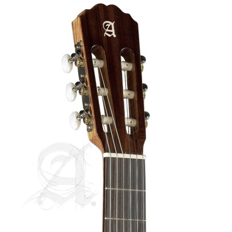 Guitarra Alhambra 1C Hybrid Terra