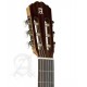 Guitarra Alhambra 1C Hybrid Terra