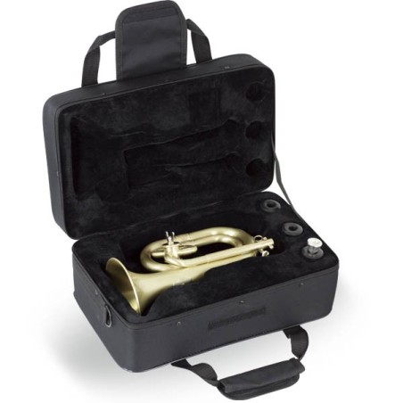 Estuche Ortolá corneta corta Styrofoam Rectangular Estuche Ortolá corneta corta Styrofoam Rectangular