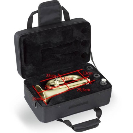 Estuche Ortolá corneta corta Styrofoam Rectangular Estuche Ortolá corneta corta Styrofoam Rectangular