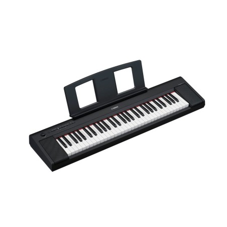 Teclado portatil Piaggero NP-15