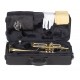 Trompeta DO J.Michael TR440