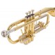Trompeta DO J.Michael TR440