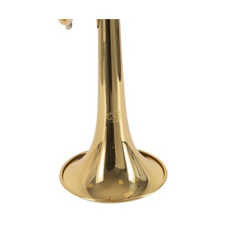 Trompeta DO J.Michael TR440