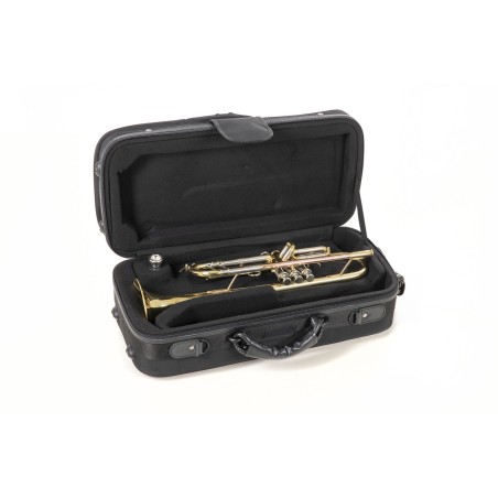 Trompeta Roy Benson TR-403 lacada