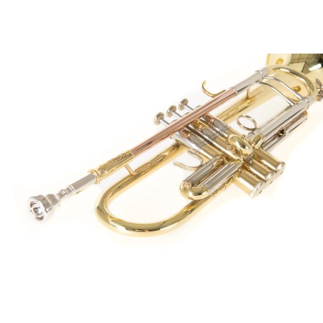 Trompeta Roy Benson TR-403 lacada
