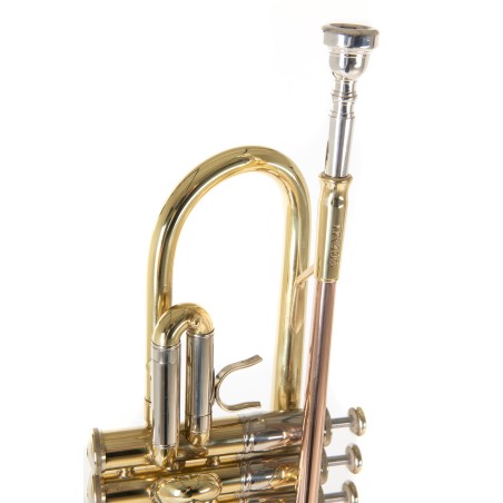 Trompeta Roy Benson TR-403 lacada