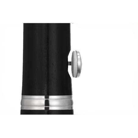 Clarinete Yamaha YCL-450