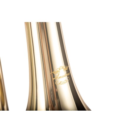 Trombón de Varas AMADEUS TT811L