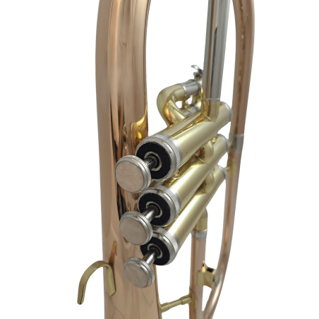 Fliscorno Zeus ZFG600G