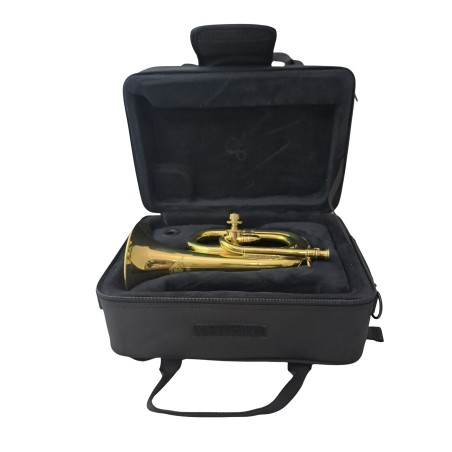 Estuche Rígido 1 corneta Zeus