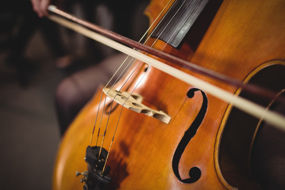 clasificación y tipos de violines