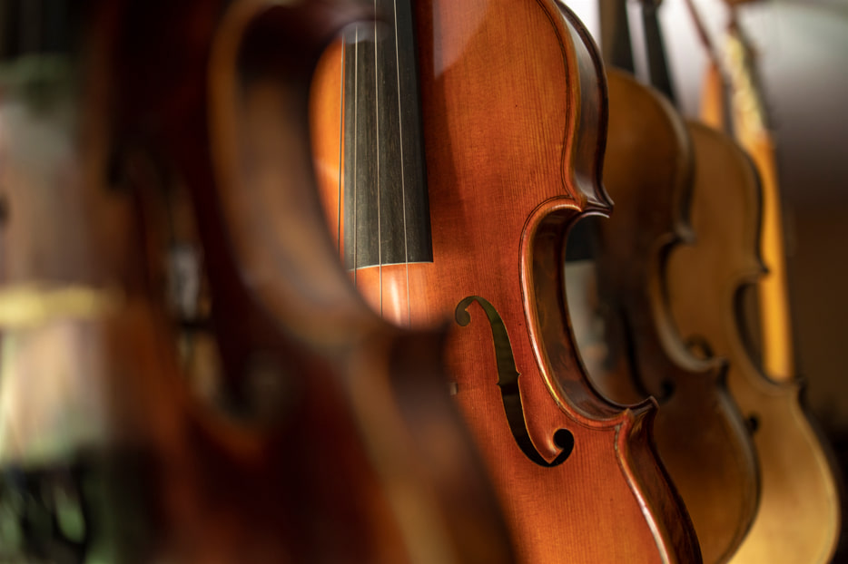 tipos de violines