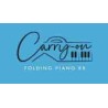 Carry-on