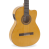 Guitarras Amplificadas