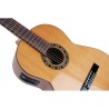 Guitarra Clásica y Flamenca Electrificada